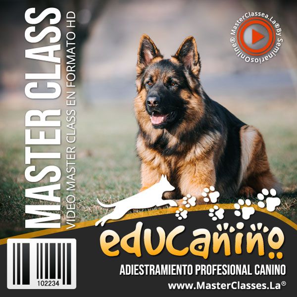 curso online de adiestramiento canino educanino